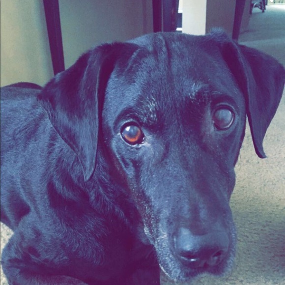 kelsey_1231